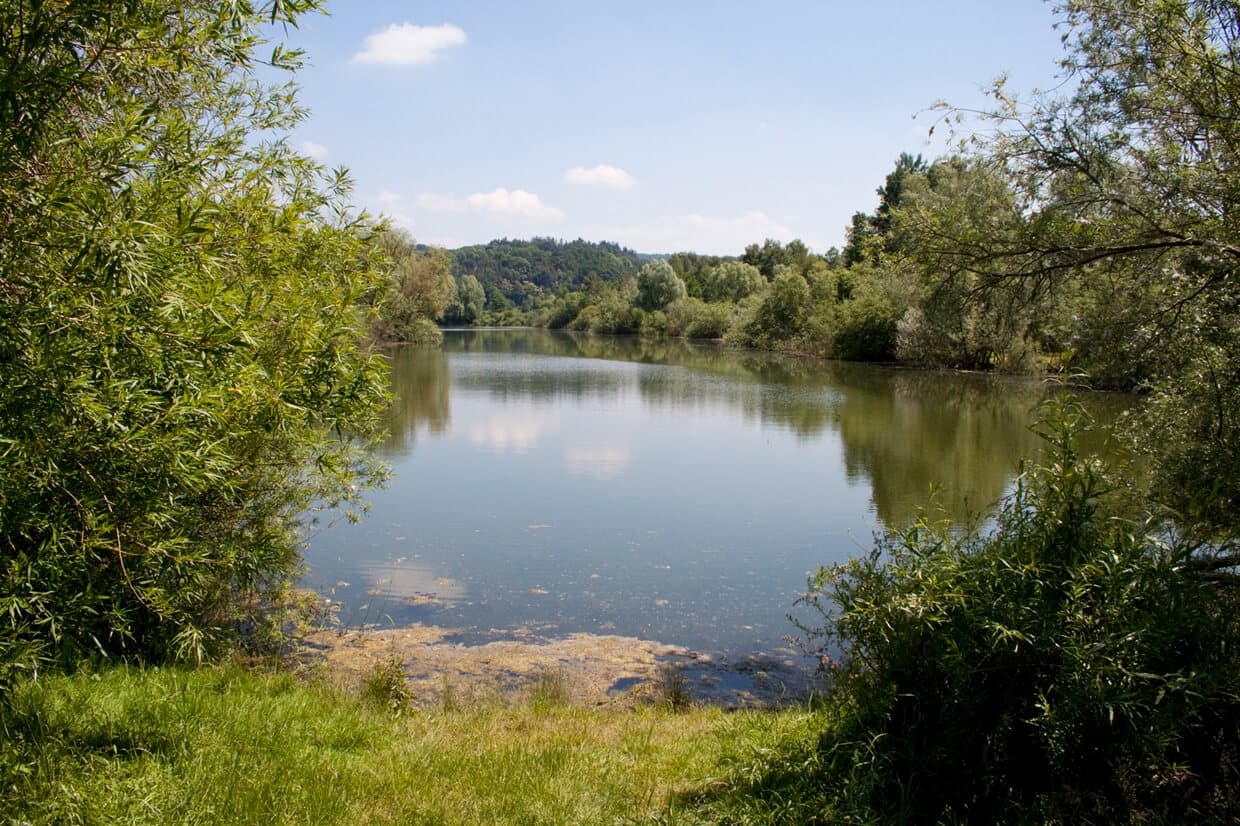 Natur am Osterfeldsee