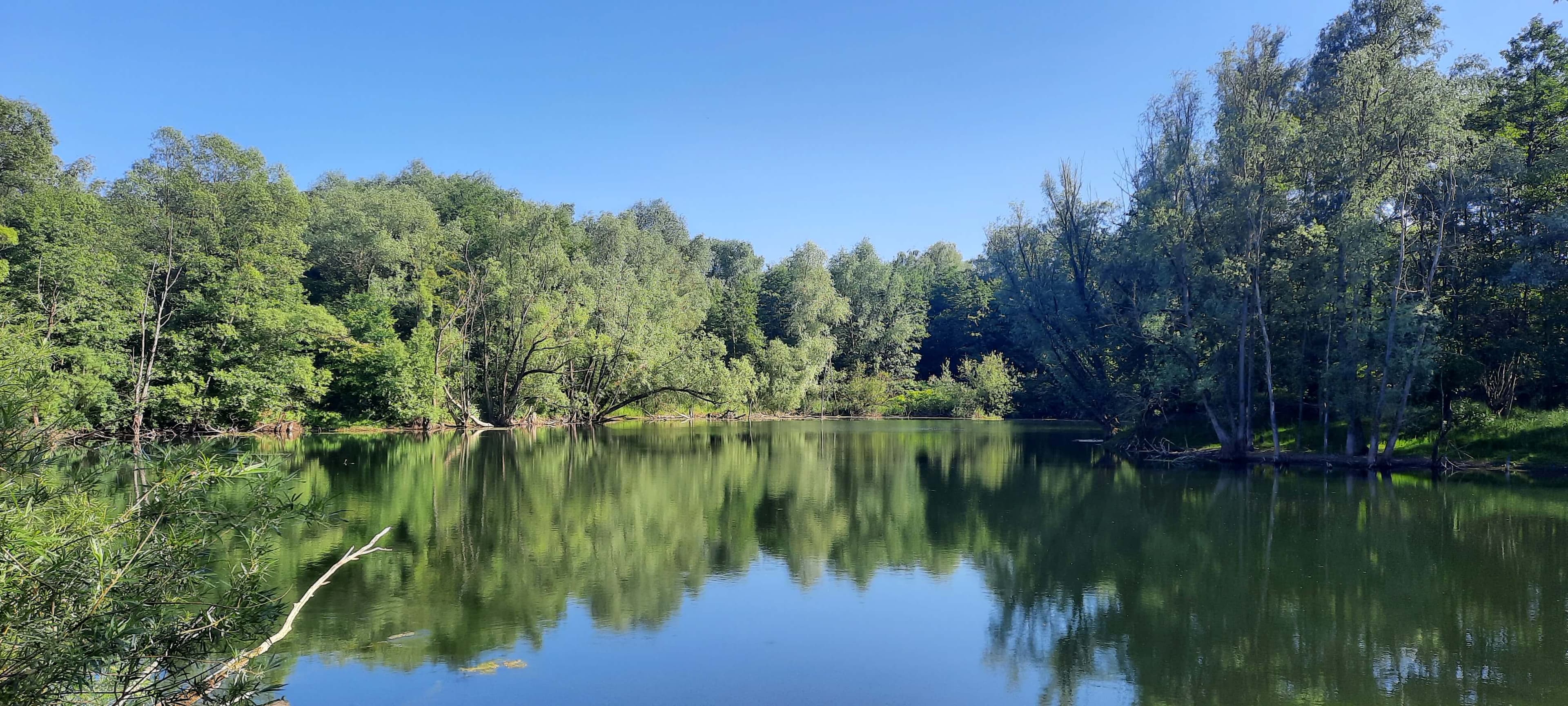 Impressionen vom Osterfeldsee